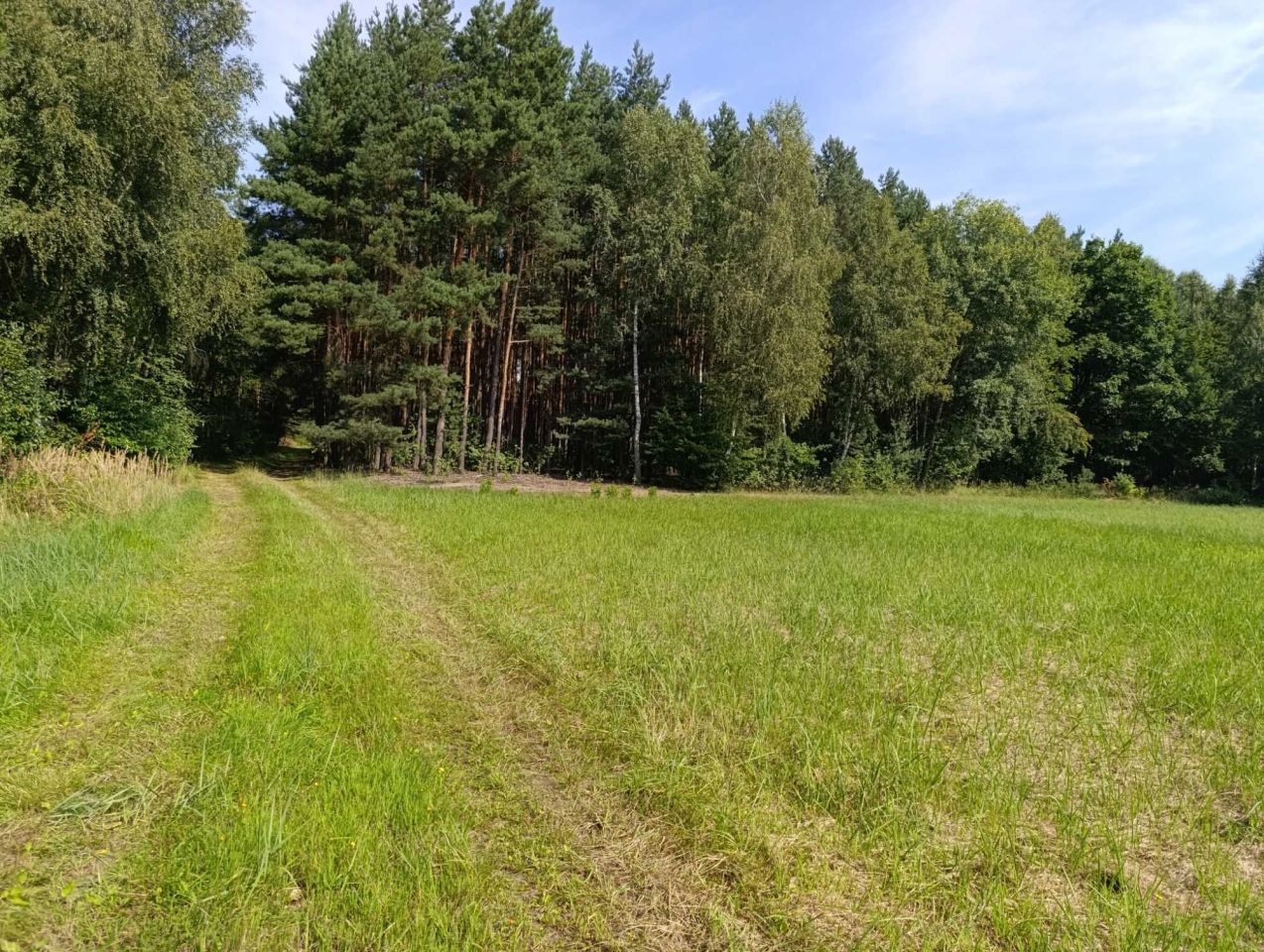 Działka rolna Grabowiec Stawiszcze. Zdjęcie 6