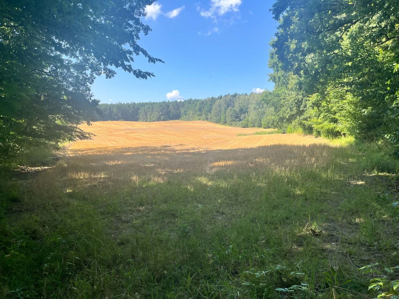 Działka rolna Kwiedzina. Zdjęcie 1