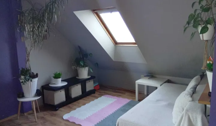 Mieszkanie 3-pokojowe Zielona Góra Centrum