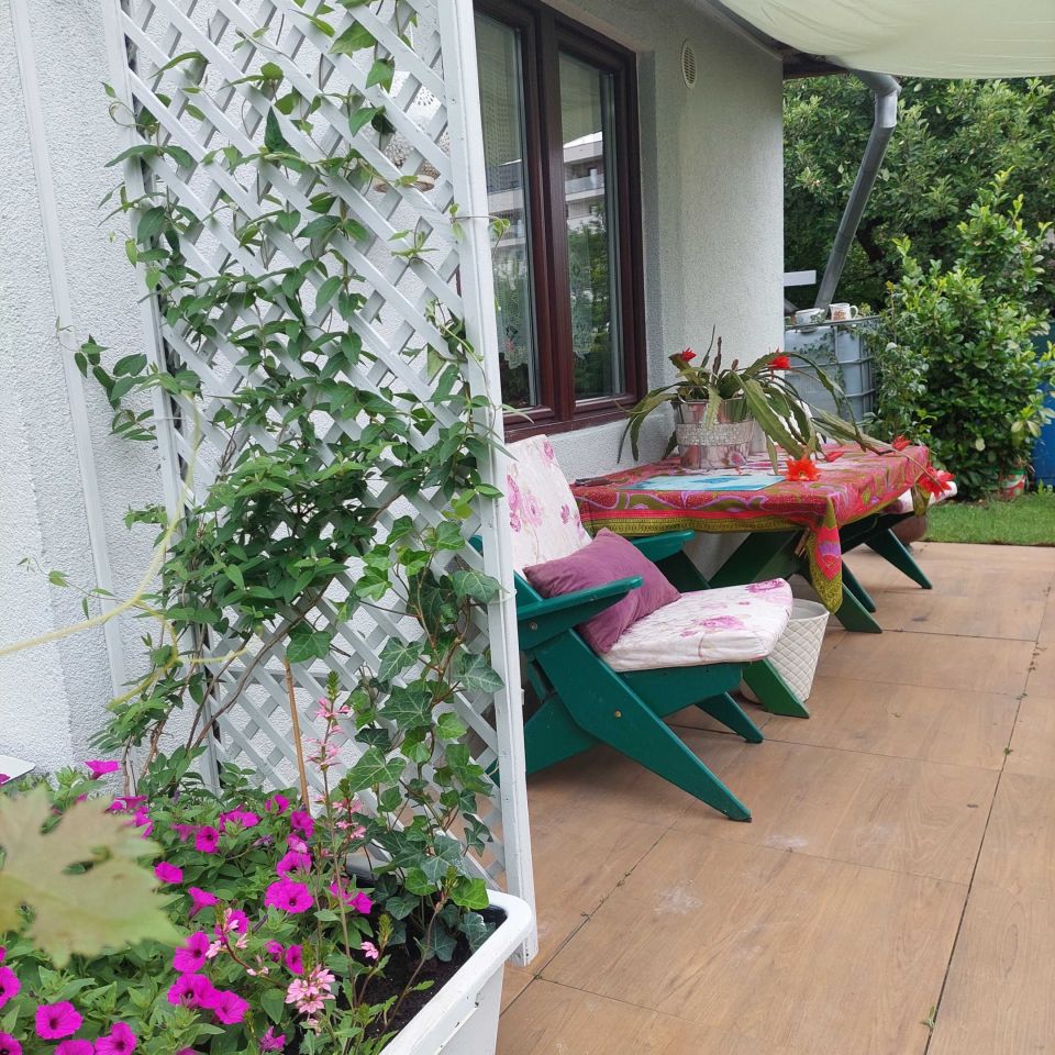 Działka rod Opole. Zdjęcie 4