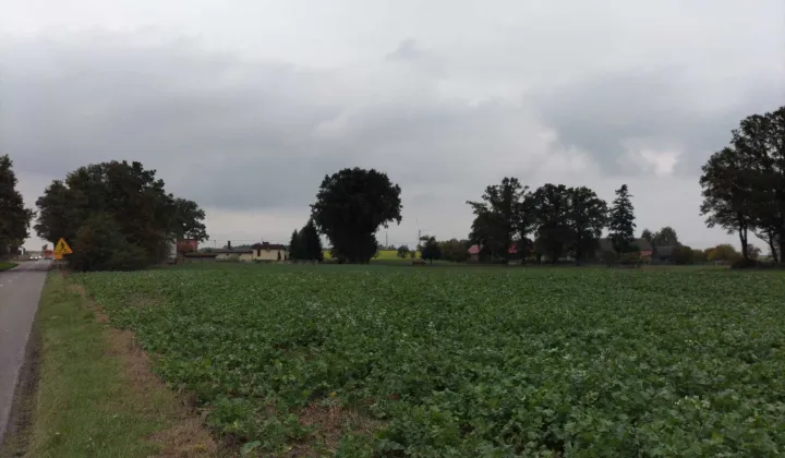 Działka rolna Cienia Druga