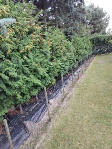 dom wolnostojący, 5 pokoi Nowa Sól Stare Żabno, ul. Targowa. Zdjęcie 5