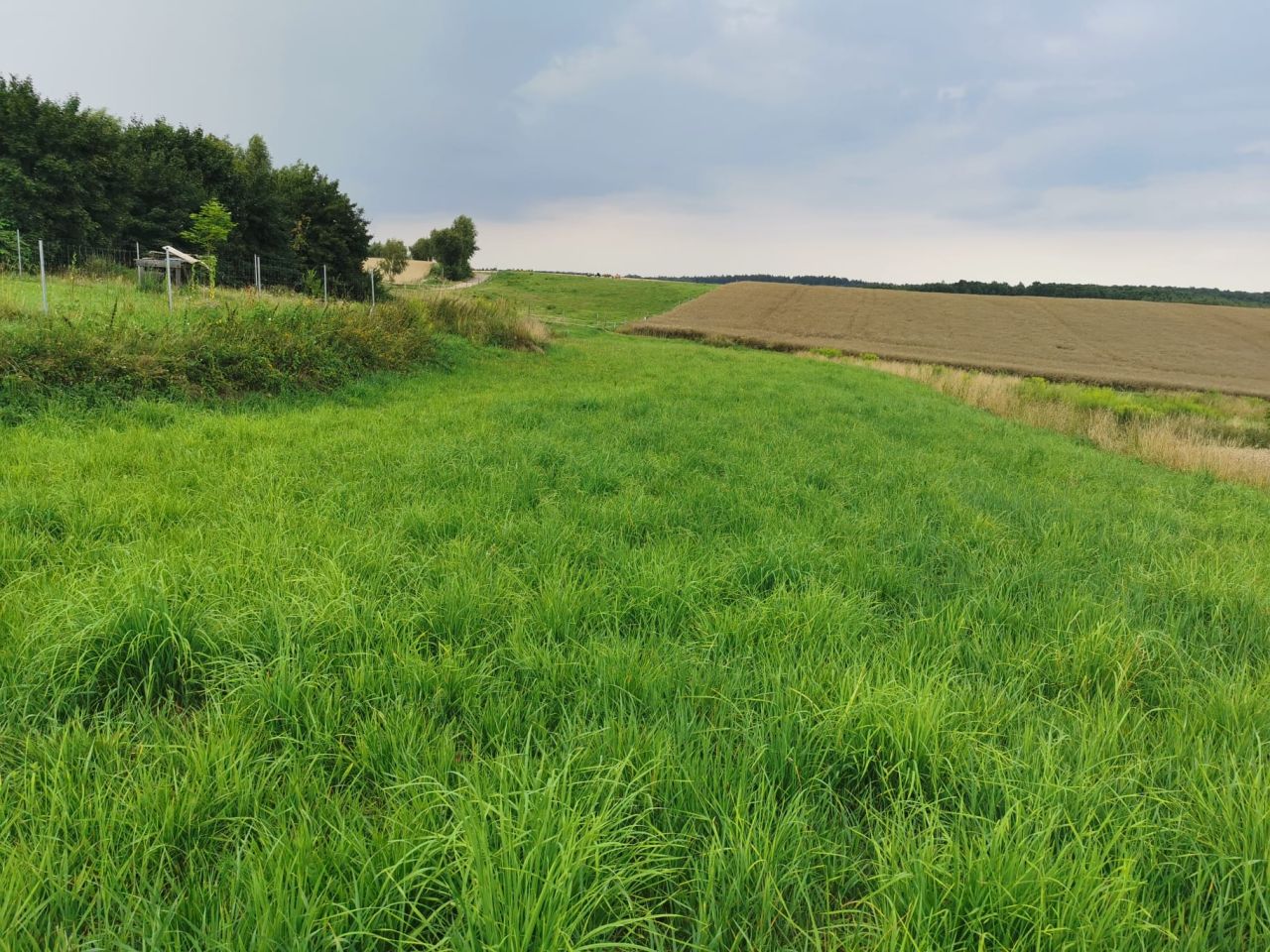 Działka budowlana Nowa Góra, ul. Trakt Olkuski. Zdjęcie 4