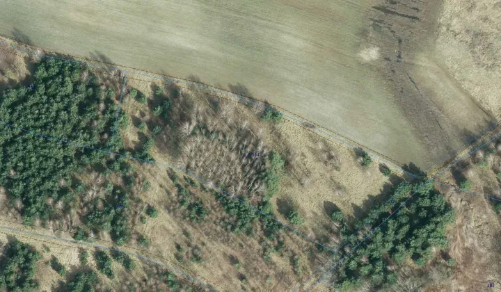 Działka leśna Smyków Smyków Mały, ul. Leśna