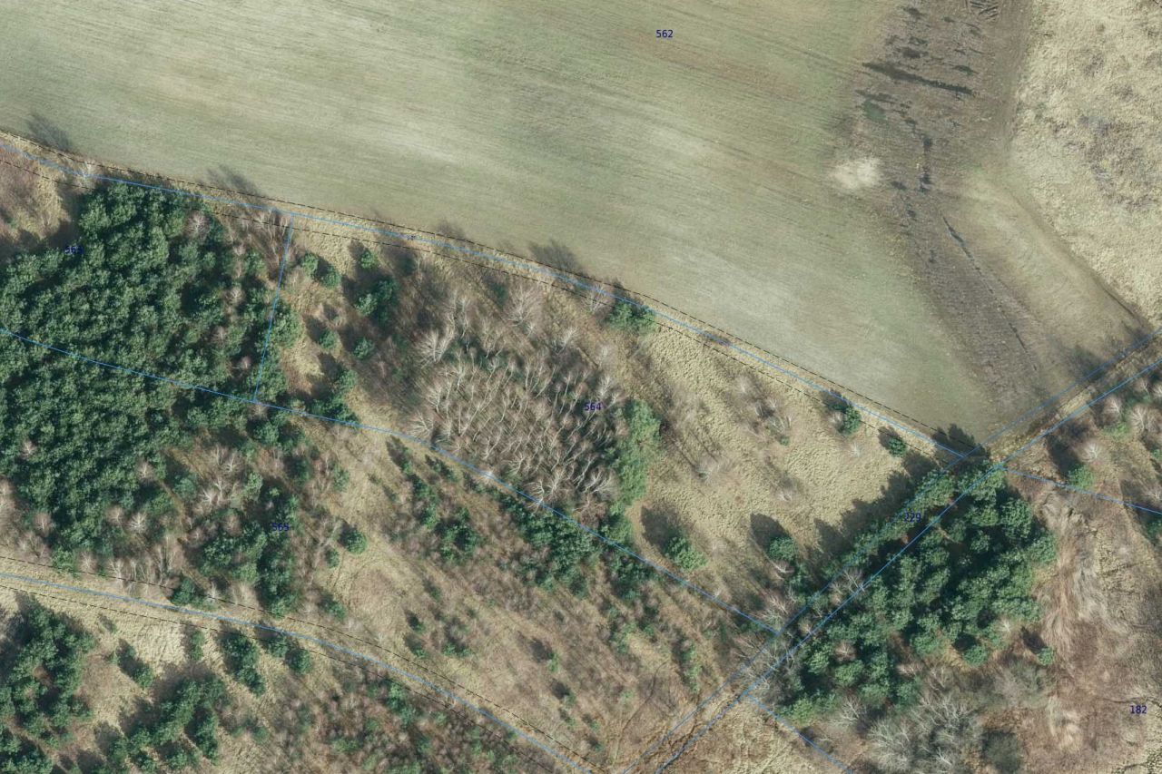 Działka leśna Smyków Smyków Mały, ul. Leśna