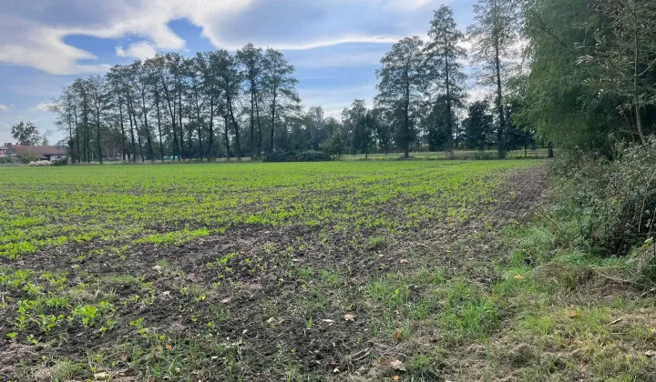 Działka budowlana Frelichów