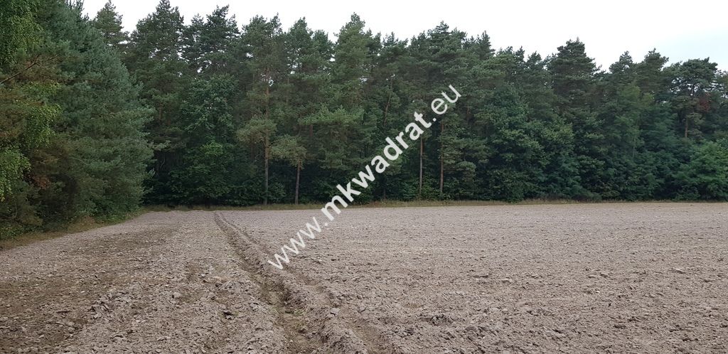 Działka Budy Wolskie. Zdjęcie 5