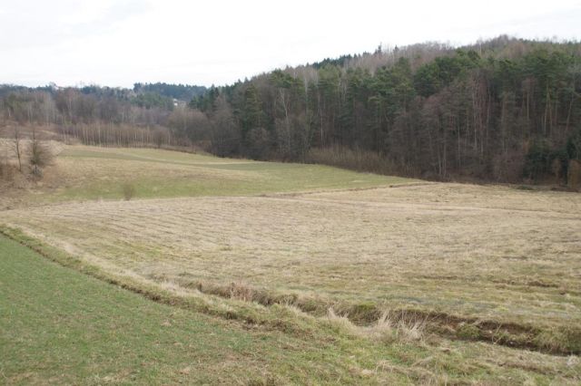 Działka rolna Rzepiennik Strzyżewski. Zdjęcie 1