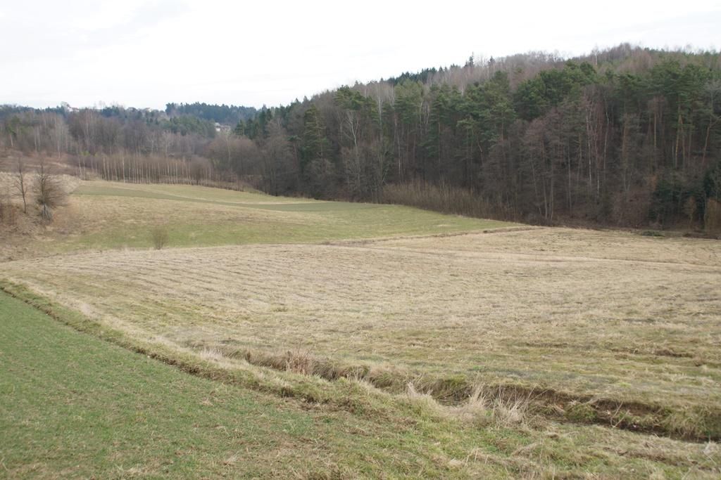 Działka rolna Rzepiennik Strzyżewski. Zdjęcie 1