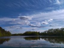 Działka rolna Wielimowo. Zdjęcie 1