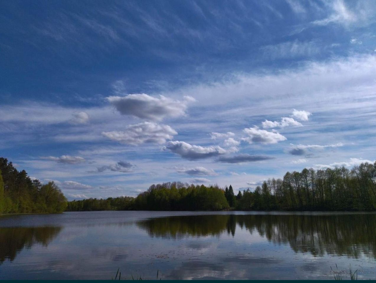 Działka rolna Wielimowo. Zdjęcie 2