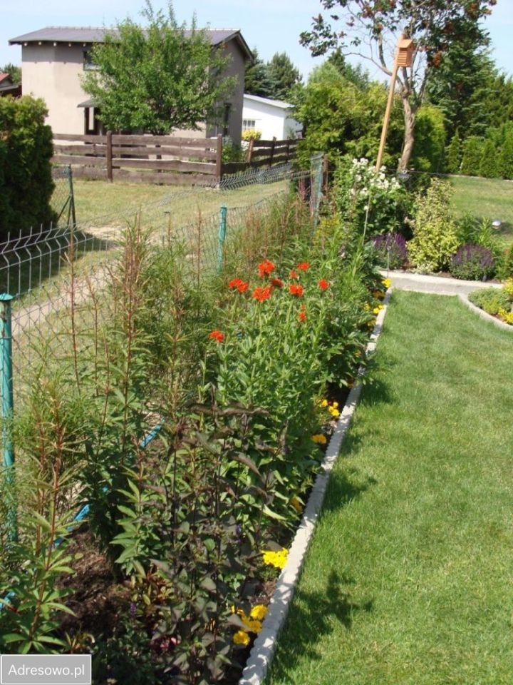 Działka rod Poznań Jeżyce, ul. Bukowska. Zdjęcie 20