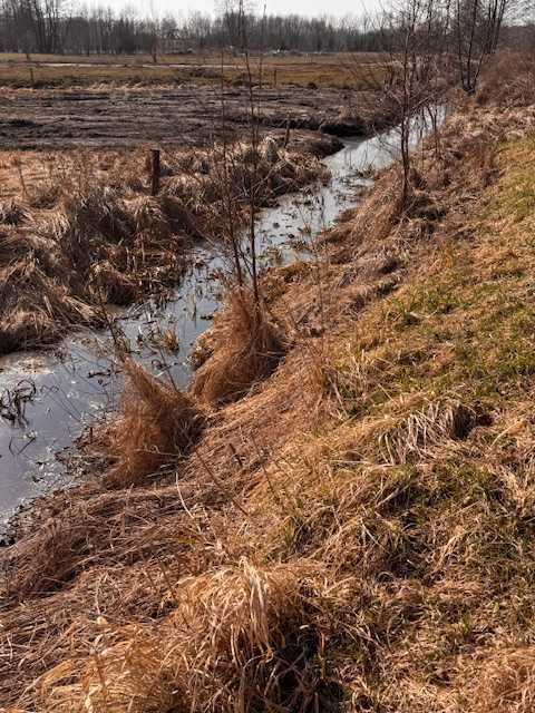 Działka rekreacyjna Sowia Wola. Zdjęcie 6