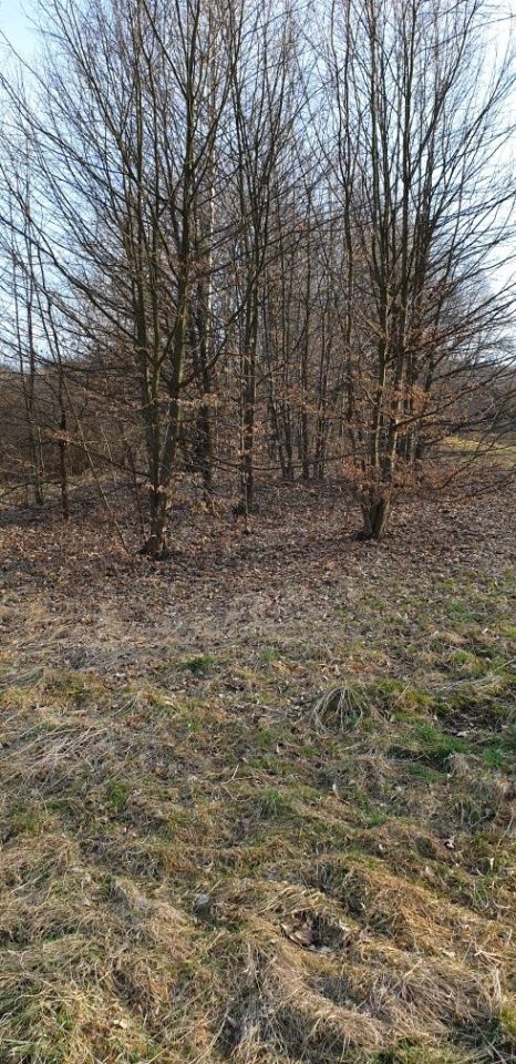 Działka rolna Tarnawa Dolna. Zdjęcie 6