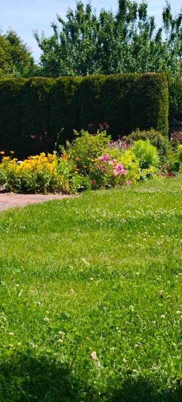 Działka rod Biedrusko. Zdjęcie 3