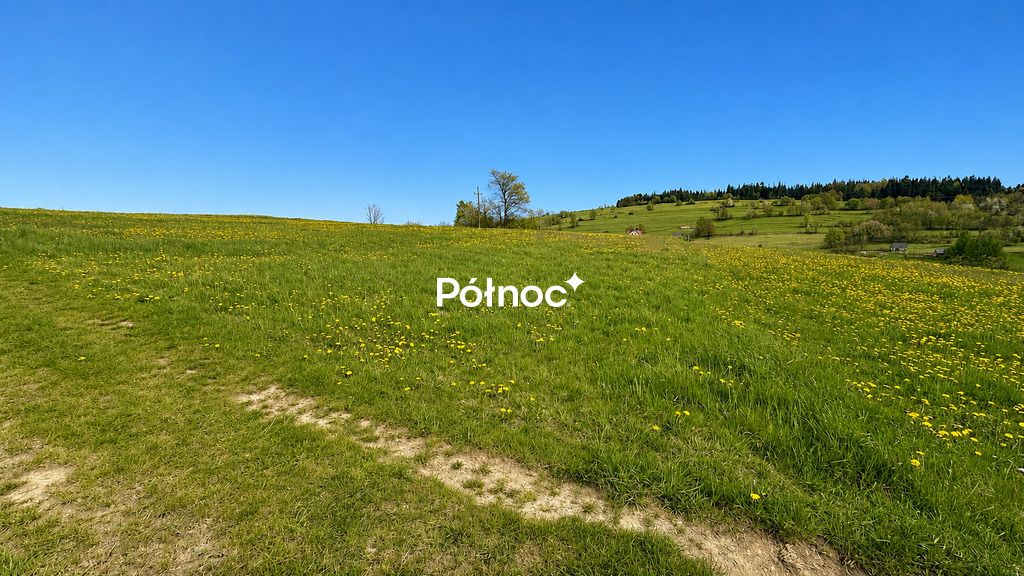 Działka rolna Harkabuz. Zdjęcie 5