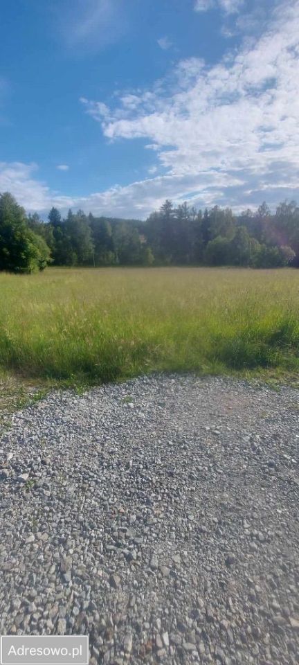 Działka budowlana Świerki. Zdjęcie 4