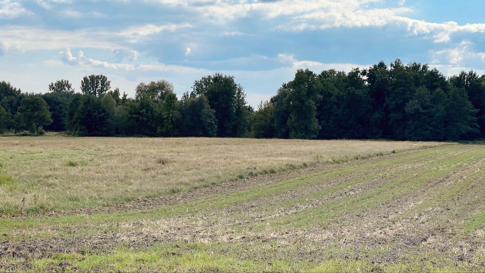 Działka rolna Ligota. Zdjęcie 8