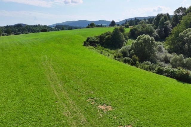 Działka budowlana Jałowe. Zdjęcie 8