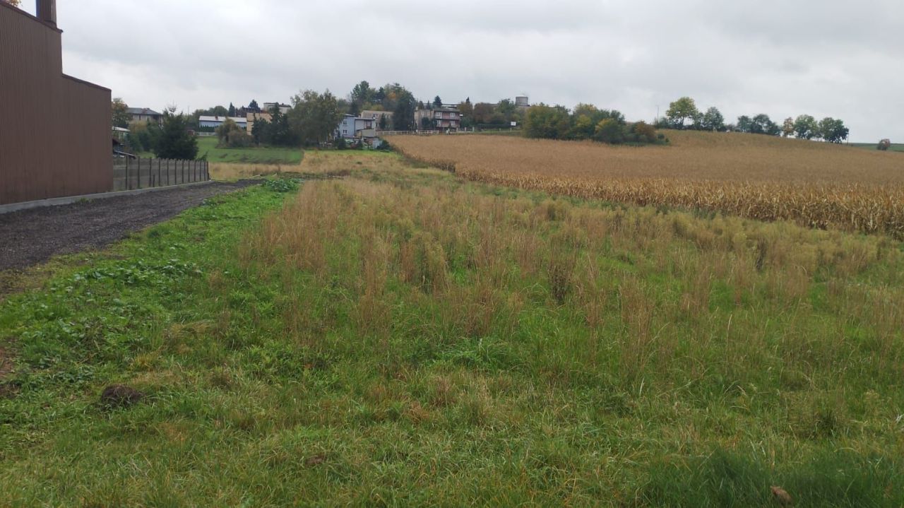 Działka budowlana Piekary Śląskie