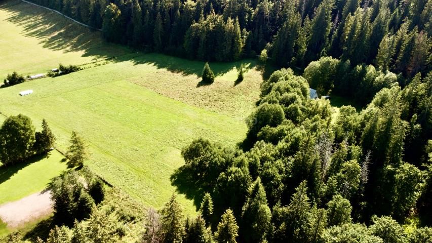 Działka rolna Zakopane. Zdjęcie 3