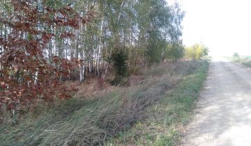 Działka budowlana Kożyno Kożyno, Kolonia Kożyno