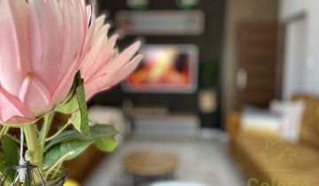 Mieszkanie 2-pokojowe Szczecin, ul. Bolesława Śmiałego