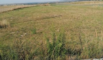 Działka rolno-budowlana Michałów Betlejem