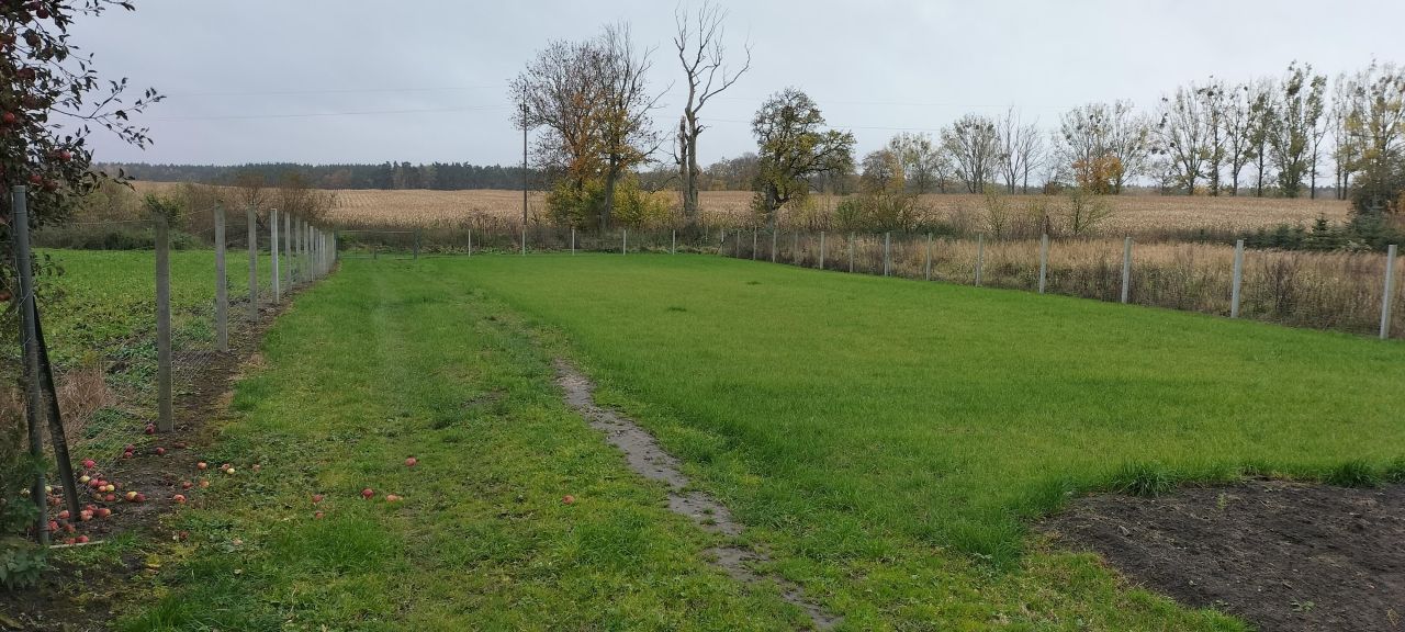 Działka budowlana Sarnik. Zdjęcie 7