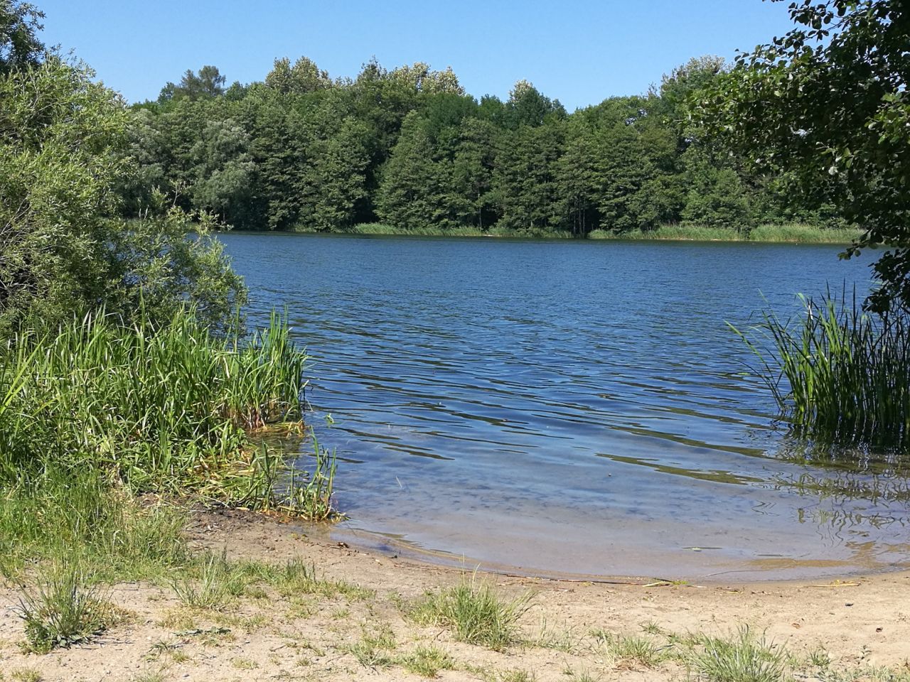 Mieszkanie 2-pokojowe Kajkowo, Widok. Zdjęcie 14