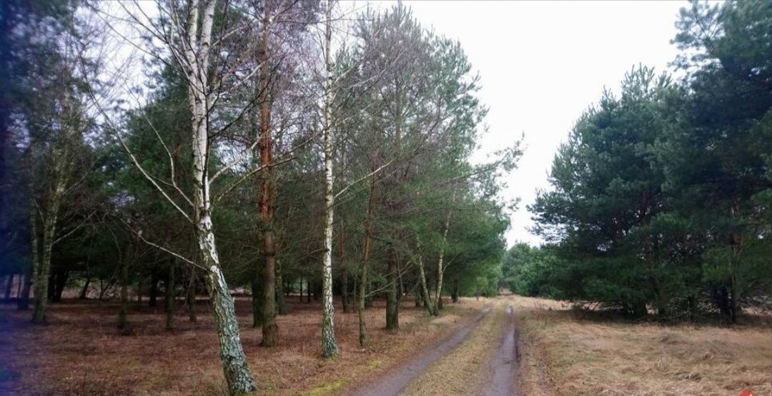 Działka Nowe Ręczaje. Zdjęcie 2