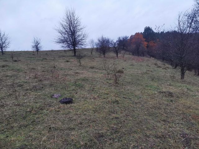 Działka budowlana Zalbki. Zdjęcie 1