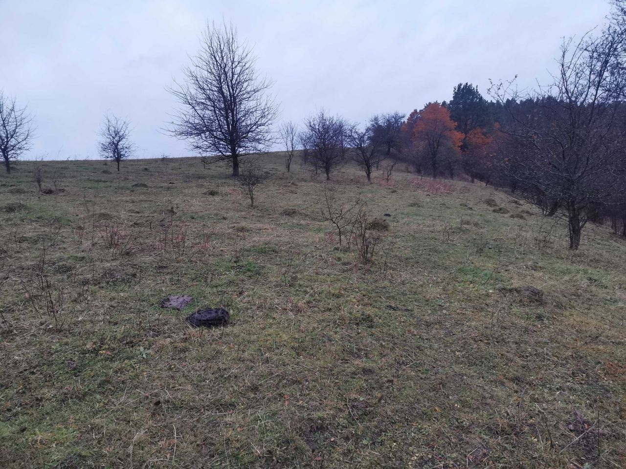 Działka budowlana Zalbki. Zdjęcie 1