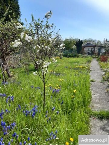 Działka rekreacyjna Kraków. Zdjęcie 1