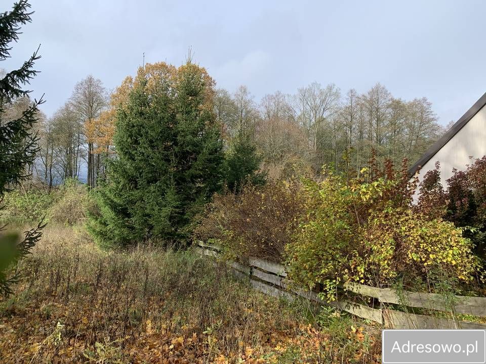 siedlisko, 5 pokoi Rogojny. Zdjęcie 5