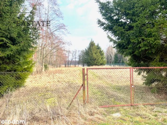 Działka inwestycyjna Harsz. Zdjęcie 8