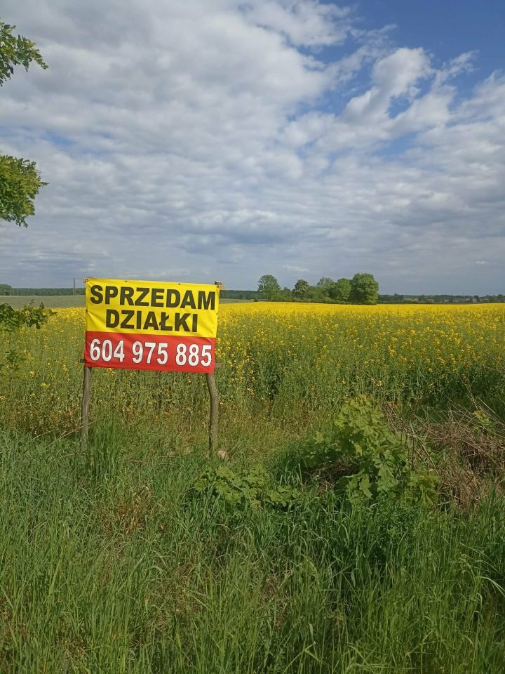 Działka budowlana Regimin, ul. Adama Rzewuskiego. Zdjęcie 4