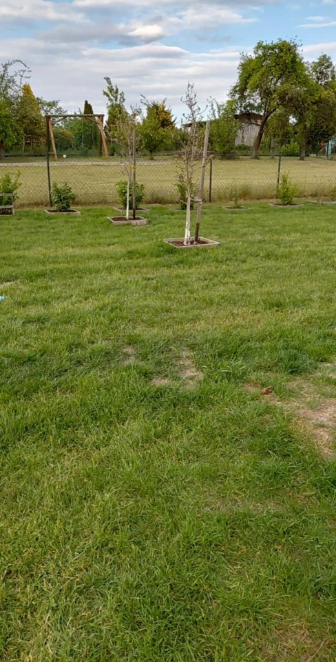 Działka rod Grochowiska. Zdjęcie 20