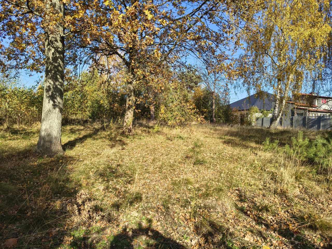 Działka budowlana Żakowice, ul. Piotrkowska. Zdjęcie 10