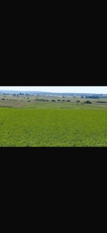 Działka rolno-budowlana Mstyczów. Zdjęcie 1