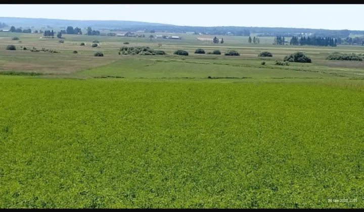 Działka rolno-budowlana Mstyczów