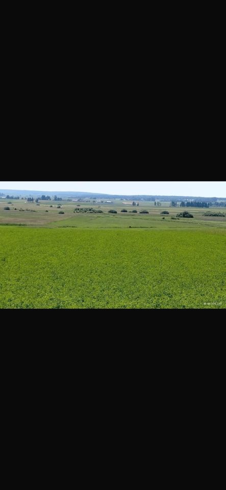 Działka rolno-budowlana Mstyczów. Zdjęcie 1