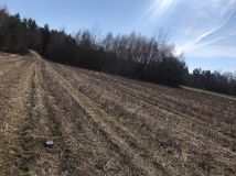 Działka budowlana Grzybów. Zdjęcie 1