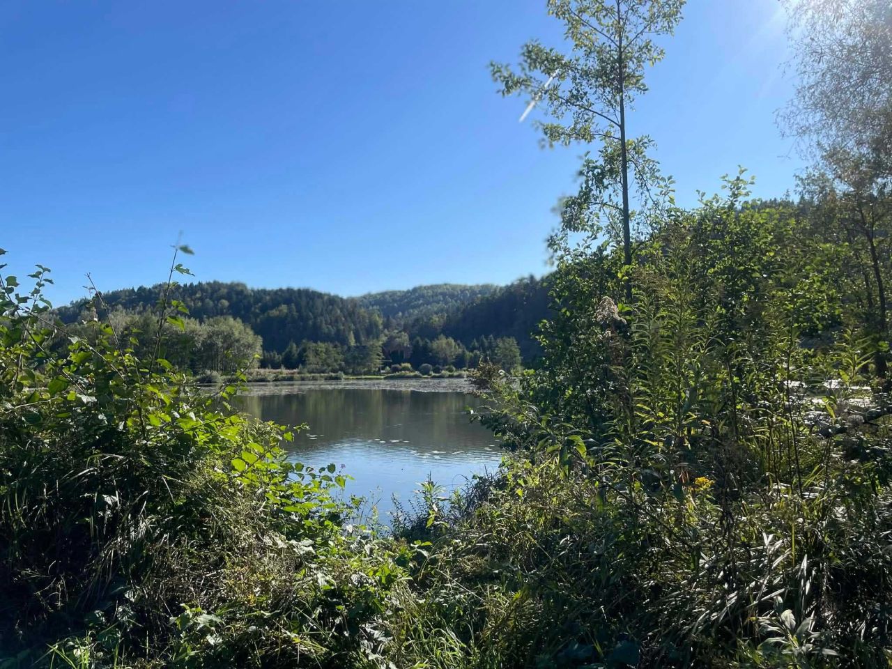 Działka rekreacyjna Temeszów. Zdjęcie 3