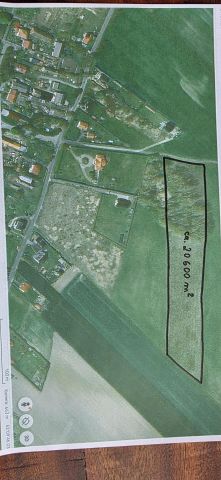 Działka rolna Rzepnowo. Zdjęcie 1