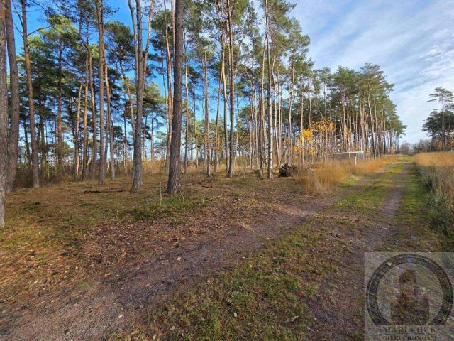 Działka budowlana Dziwnów. Zdjęcie 8