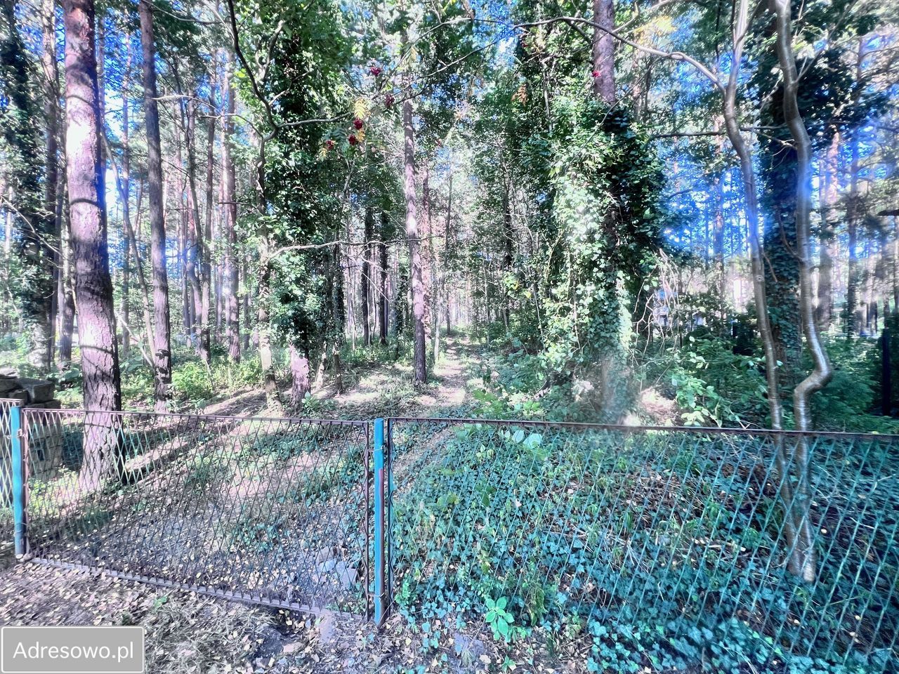 Działka budowlana Żarki-Letnisko, ul. Jodłowa. Zdjęcie 6