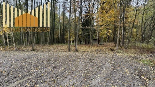 Działka budowlana Iłówiec. Zdjęcie 1