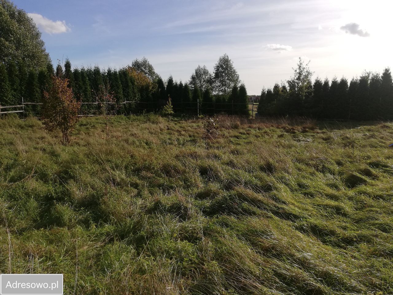 Działka budowlana Orzesze Zgoń, ul. Sosnowa