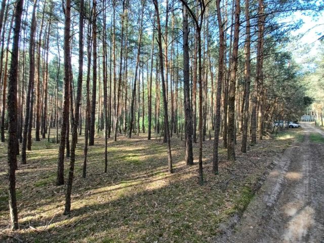 Działka rekreacyjna Lelewo. Zdjęcie 1